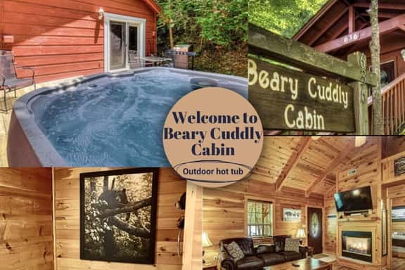 Beary Cuddly - Image 1