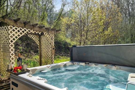 Fireflies and Moonshine - Image 1