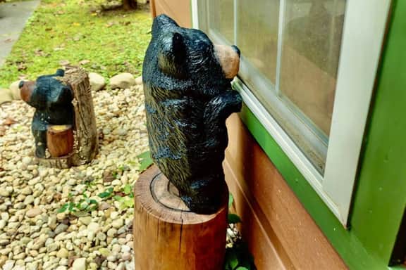 A Top Notch Lodge - Image 2